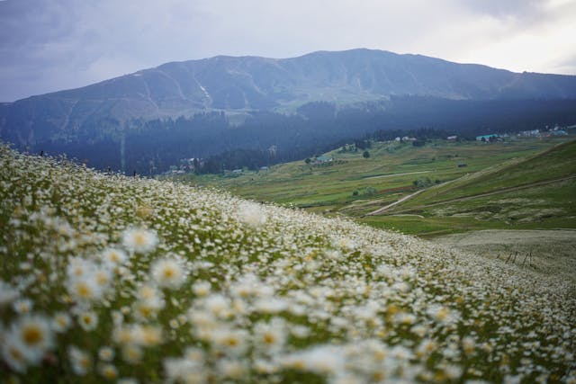Travel Image