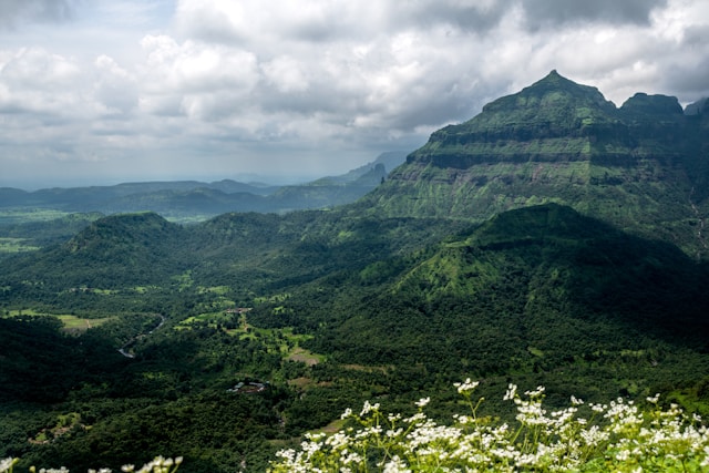 Travel Image