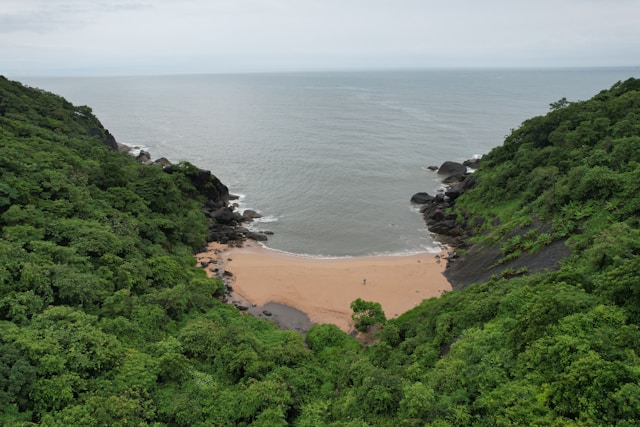 Travel Image
