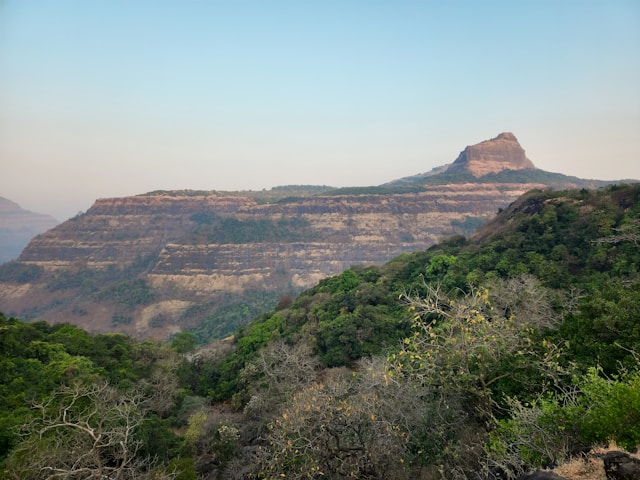 Travel Image