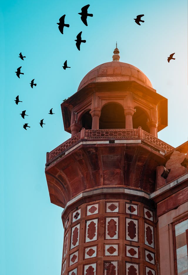 Travel Image