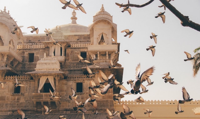 Travel Image