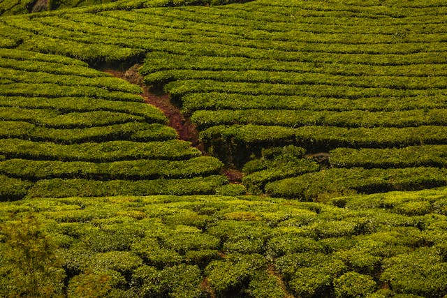 Travel Image